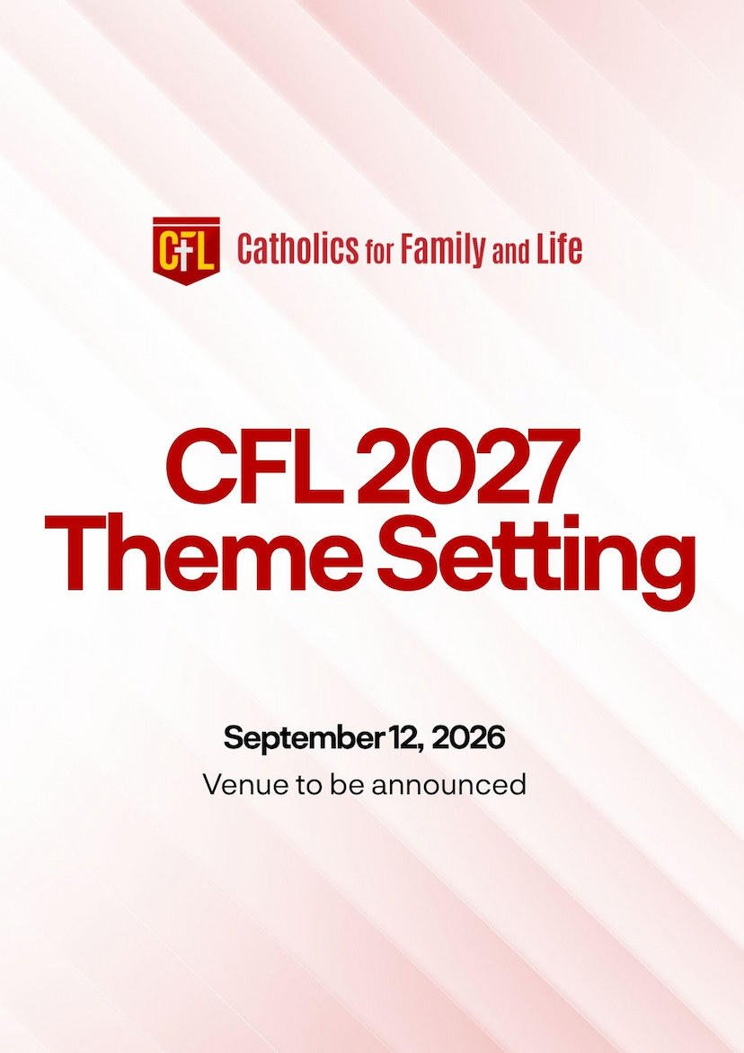 CFL 2027 Theme Setting